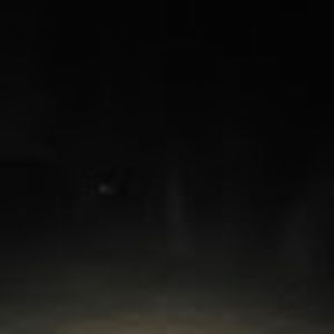 Meet your Posher, Torressa